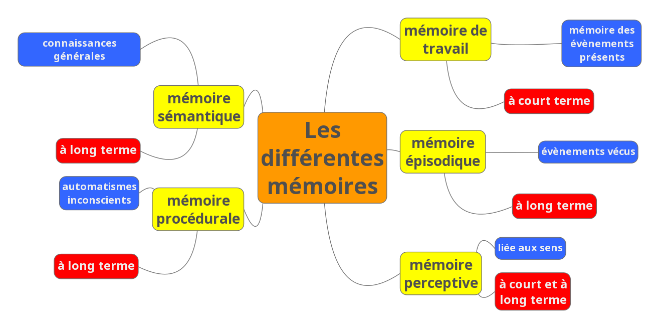 carte mémoire